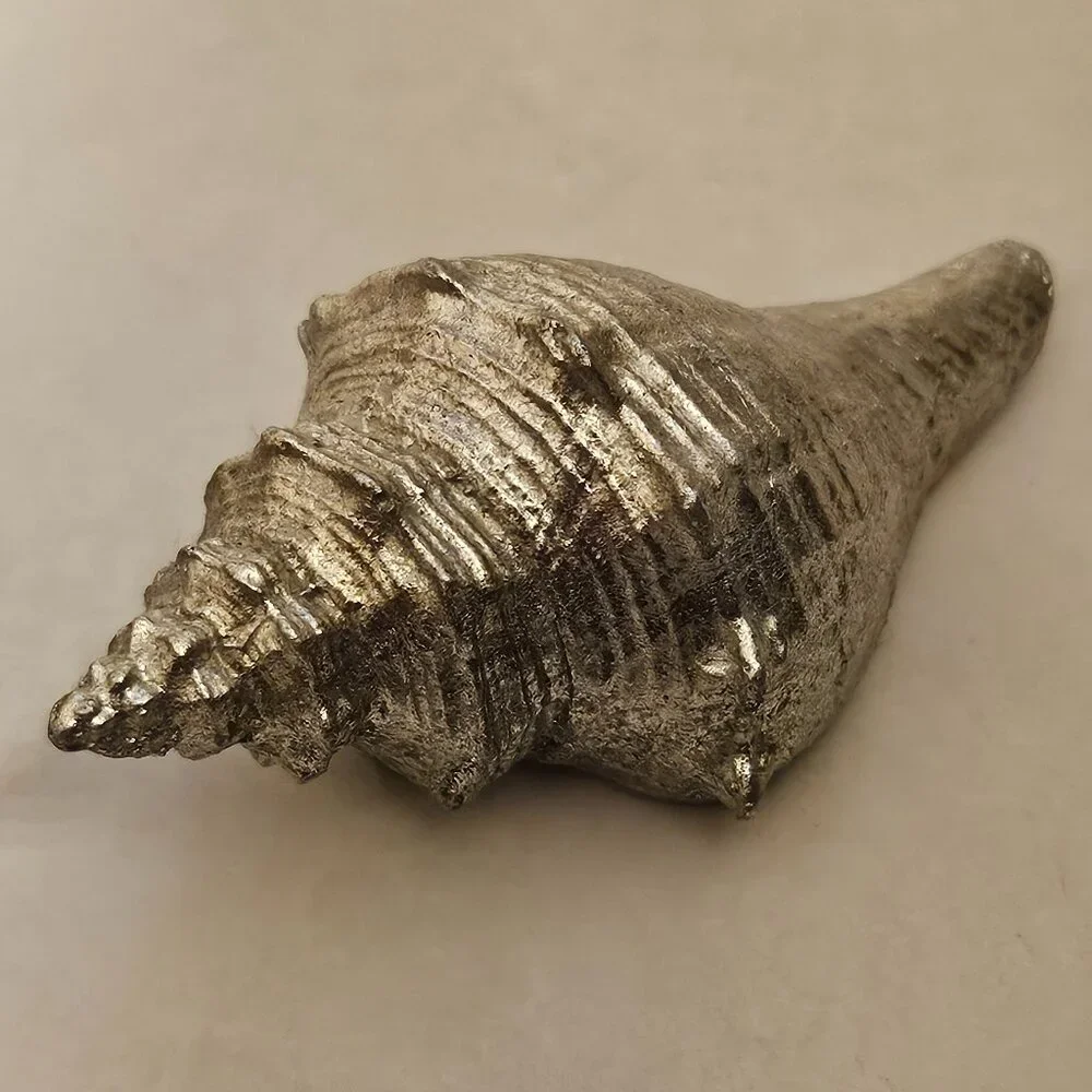 REGINA ANDREW SILVER CONCH SHELL COASTAL BEACH VASE FILLER HOME TABLE DECOR